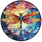Dragonfly/Tip 13/L