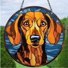 Dog/Típus10
